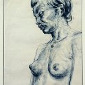 Female Nude 14